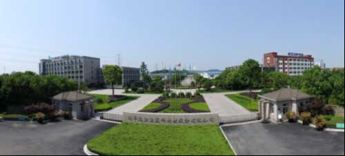 兔寶寶地板打造世界級巔峰品質