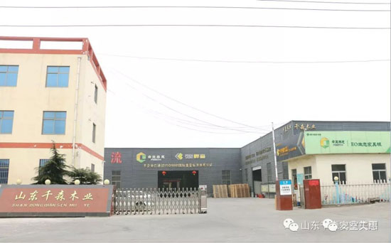 安室美惠板材，等待你發(fā)現(xiàn)的美