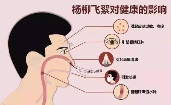 柳絮過敏讓你鼻子發(fā)癢，空氣堡新風(fēng)系統(tǒng)讓你舒爽