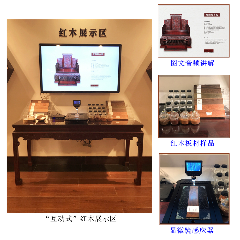 博覽千年紅木，再現(xiàn)百年家具！美聯(lián)紅木文史館全面升級！