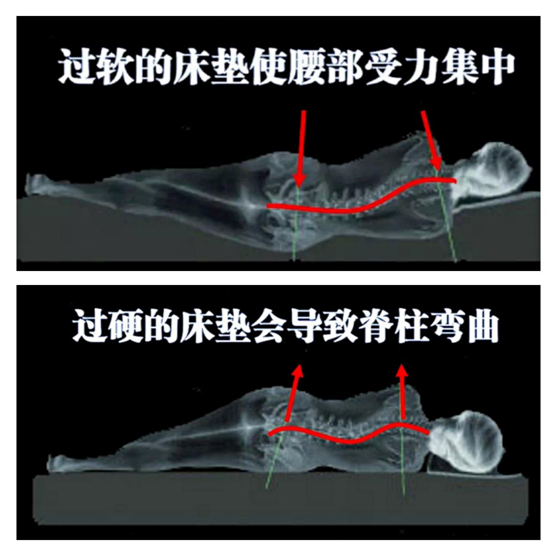 康麗萊:優(yōu)質(zhì)的睡眠從找到適合自己的床墊開始